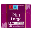 Carefree Plus Large Fragranza Delicata Salvaslip 36 pz